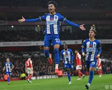 英超布莱顿22号球员是谁