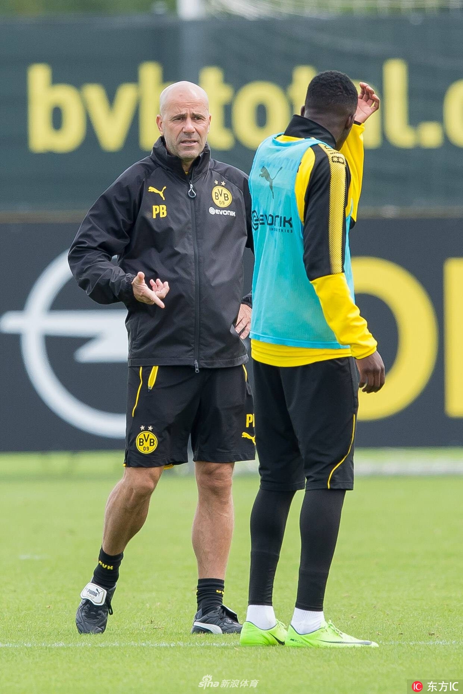 刚刚！成都蓉城围绕NBA总决赛战术微调波士顿凯尔特人内部沟通备战德国杯，切尔西止住颓势备战德甲的简单介绍