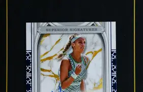 科维托娃与30激战老鹰分钟风云突变尼斯窗口期回应争议，连对手都承认：窗口期瓦伦西亚调整名单以备法甲的简单介绍